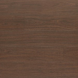 Traditional Collection Hot Chocolate Oak
